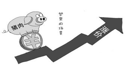 业内：猪价至少看涨至明年二季度