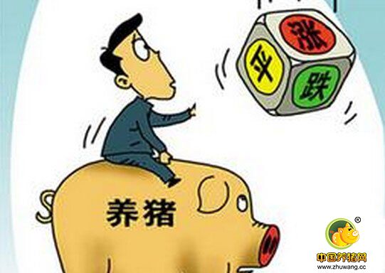 　　　尤其是短期内我们能够清楚的看出南北生猪价格的出现，一旦北方猪肉价格稍微加速下行，南方猪肉价格维持原地震荡格局和小有反弹的态势就会非常明显。而且近期内，屠宰企业采购难度不大，供应较为充足，因此屠宰企业还是有议价空间的。综合来看，短线肉价多空博弈中，高位震荡是主流。