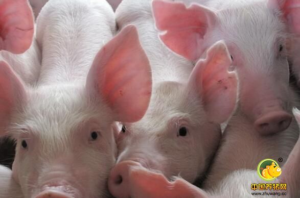 夏秋交替哪些病高发？几招轻松做好防控