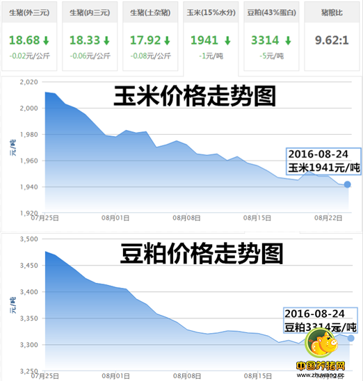 8月24日猪评：警惕！国内生猪市场莫不是在饮鸩止渴？