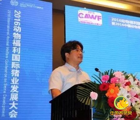 300多行业精英齐聚哈尔滨共议生猪产业下一个发展方向