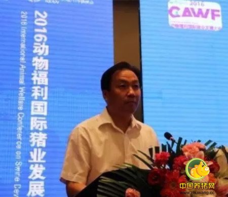 300多行业精英齐聚哈尔滨共议生猪产业下一个发展方向