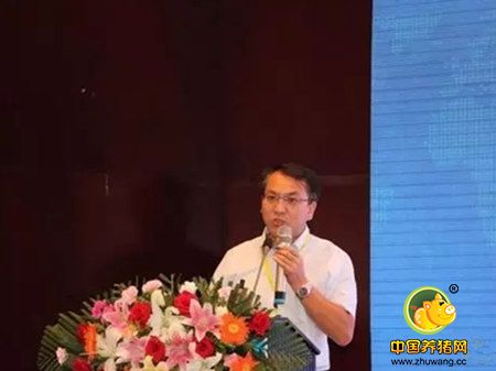 300多行业精英齐聚哈尔滨共议生猪产业下一个发展方向