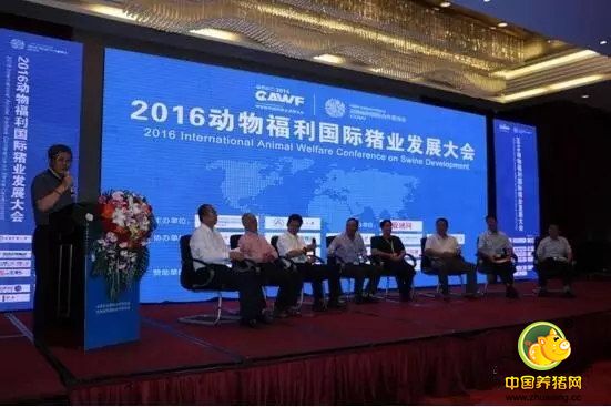 300多行业精英齐聚哈尔滨共议生猪产业下一个发展方向