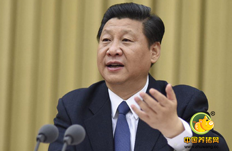 看习总书记谈养殖，论“健康养殖与饲料禁抗”辩证关系