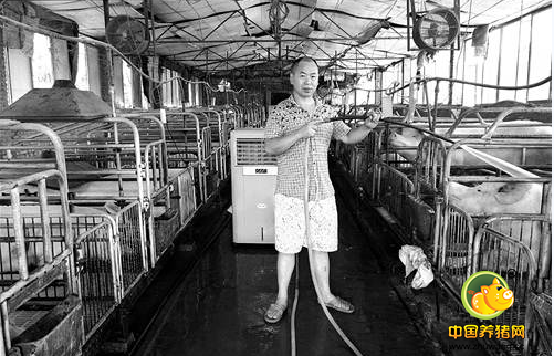 会赚钱！重庆村民养猪“养出”了个花椒园