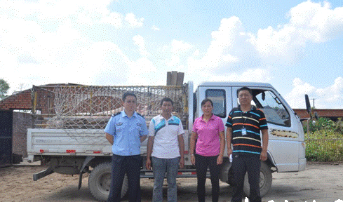 为换赌资男子疯狂偷猪 警方破案追回132头猪