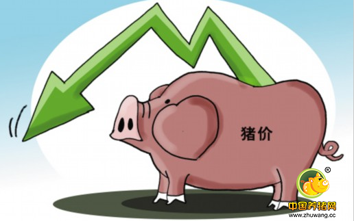 短期猪价稳中窄幅调整 后期“秋高气爽”送利好