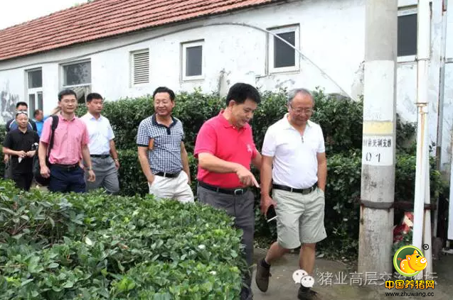 中国猪业高层交流论坛》线下活动山东站之（二）山东日照原种猪场