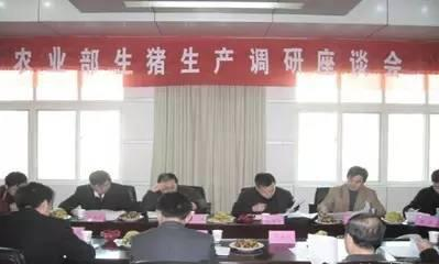 关于近期猪价,农业部生猪形势座谈会都说了些啥
