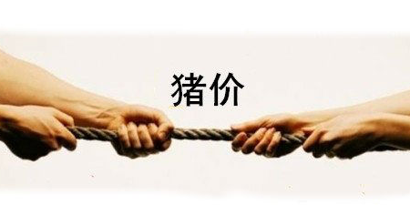天气转凉 猪价大涨不易 但持续“高位”没问题