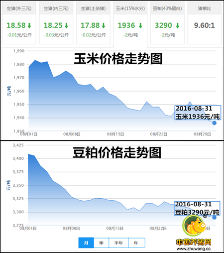 8月31日猪评：东北猪价止跌开涨 后期猪价上涨是主流行情