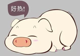 当前猪流感高发季节，如何做好猪群的预防与治疗?