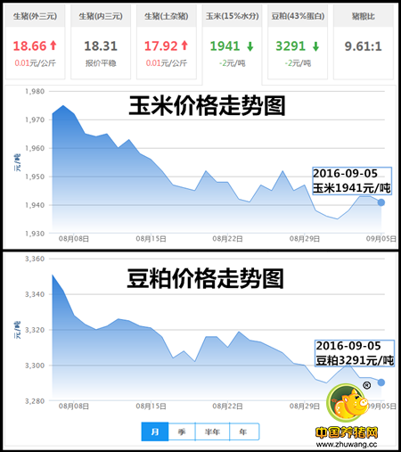 9月5日猪评：沉住气！ 不能把咱的利益塞进屠企的手里