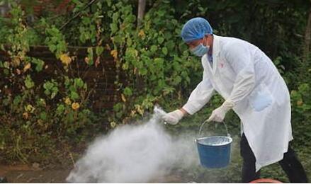 注意!大东北要在五年内实现免疫无口蹄疫区!