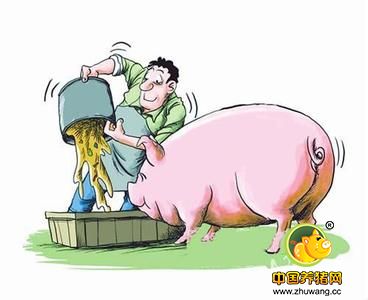 猪价开始涨了?这些数据告诉你怎样出栏更赚钱……