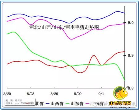 周末的变局，是否是屠宰场压价存货的前奏？