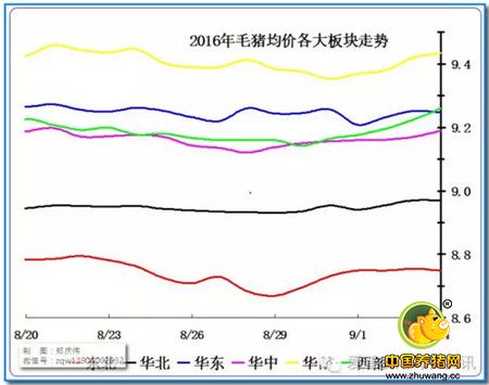 周末的变局，是否是屠宰场压价存货的前奏？