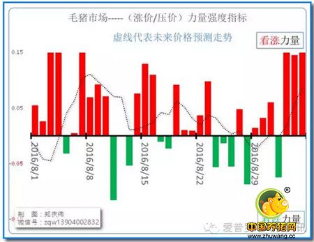 周末的变局，是否是屠宰场压价存货的前奏？