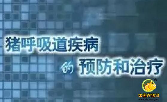 猪呼吸系统疾病病因复杂，指望单一措施防控本病基本不可能