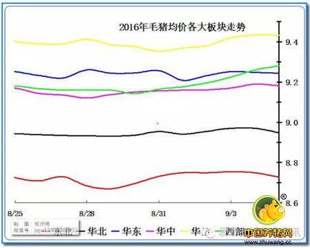 去年今日开始下跌，今年今日横盘中！