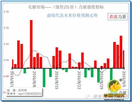 去年今日开始下跌，今年今日横盘中！