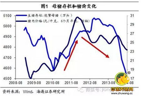 姜超谈通胀：猪价还能涨多久？读完这篇你就懂了