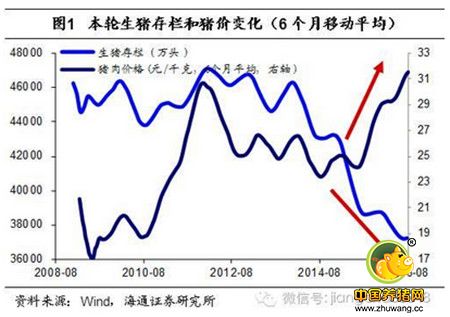 姜超谈通胀：猪价还能涨多久？读完这篇你就懂了