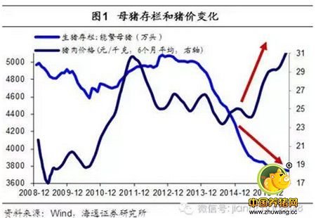姜超谈通胀：猪价还能涨多久？读完这篇你就懂了