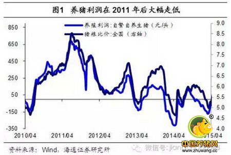 姜超谈通胀：猪价还能涨多久？读完这篇你就懂了