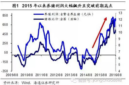 姜超谈通胀：猪价还能涨多久？读完这篇你就懂了