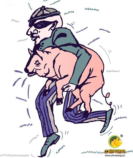 买猪涨价心生不快，一言不合就偷猪