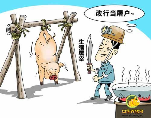 南昌县开展生猪屠宰专项整治行动严打私屠滥宰