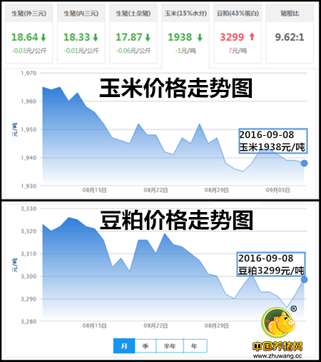 9月8日猪评：供需博弈趋于白热化 后期生猪产能将恢复