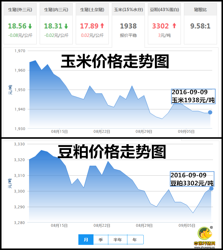 9月9日猪评：下周猪价能出现新变化？先来看看屠企的伎俩