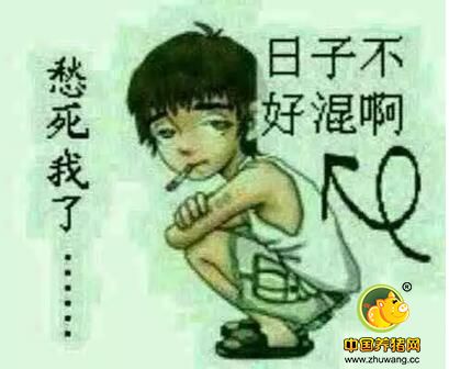 养猪业门槛走高,走出“猪周期”怪圈有望吗?