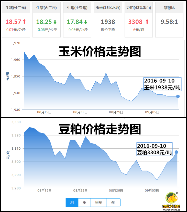 玉米豆粕表格