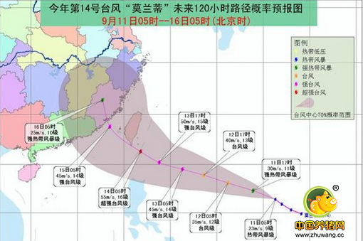 台风又来，中秋临近，猪价能涨吗？