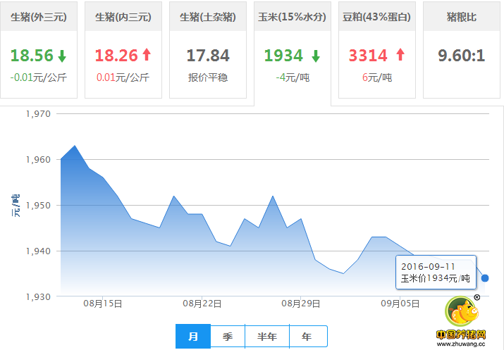 9月11日猪评：节日临近，气温回落，“逢节必跌”规律能否被打破？