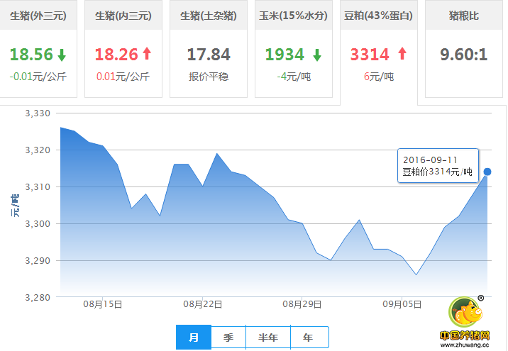 9月11日猪评：节日临近，气温回落，“逢节必跌”规律能否被打破？