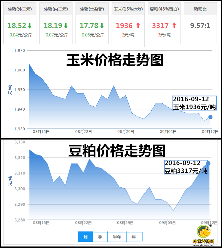 9月12日猪评：中秋之后国庆之前生猪市场或将再次利好？ 