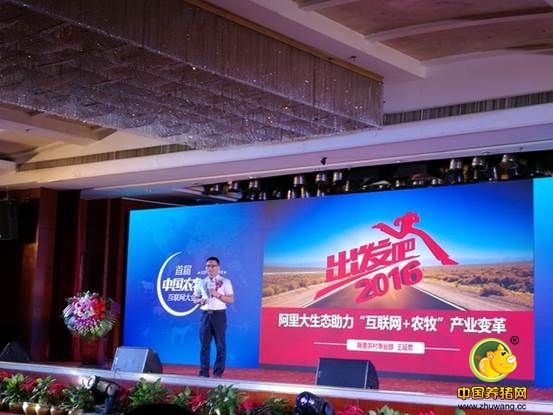 农牧行业“互联网+” 如何变盆景为风景？