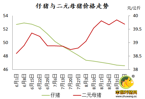 看母猪价格坚挺,后期仔猪或将一蹶不振!