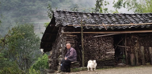 养猪人住的房子简陋不堪