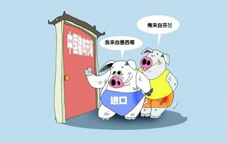 短短2天国家又开放4个进口猪肉口岸,进口数量还要上涨?