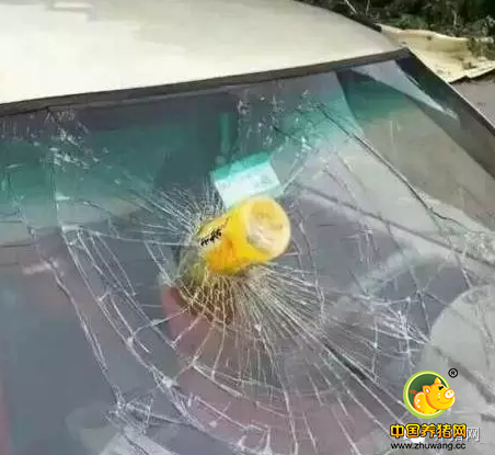 超强台风闹猪场！节后猪价怎么走？