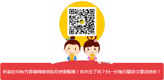 超强台风闹猪场！节后猪价怎么走？