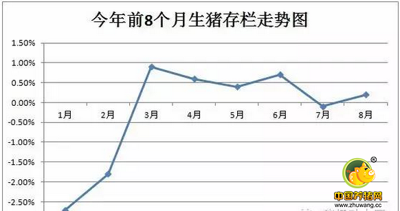 历史最低！8月能繁母猪大减23万，猪到底有没有少？