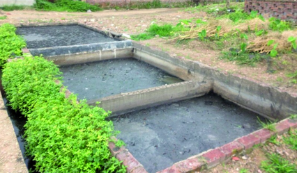 痛心！广西一养猪场直接排污竟导致农作物减产！