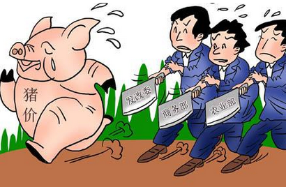 专家:猪价跌至半年来最低 为何12元/斤声音仍不绝于耳?